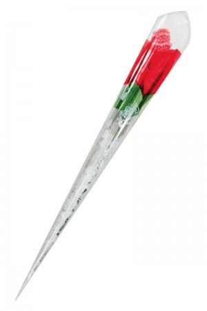Rose surprise avec petite culotte - Fun Novelties